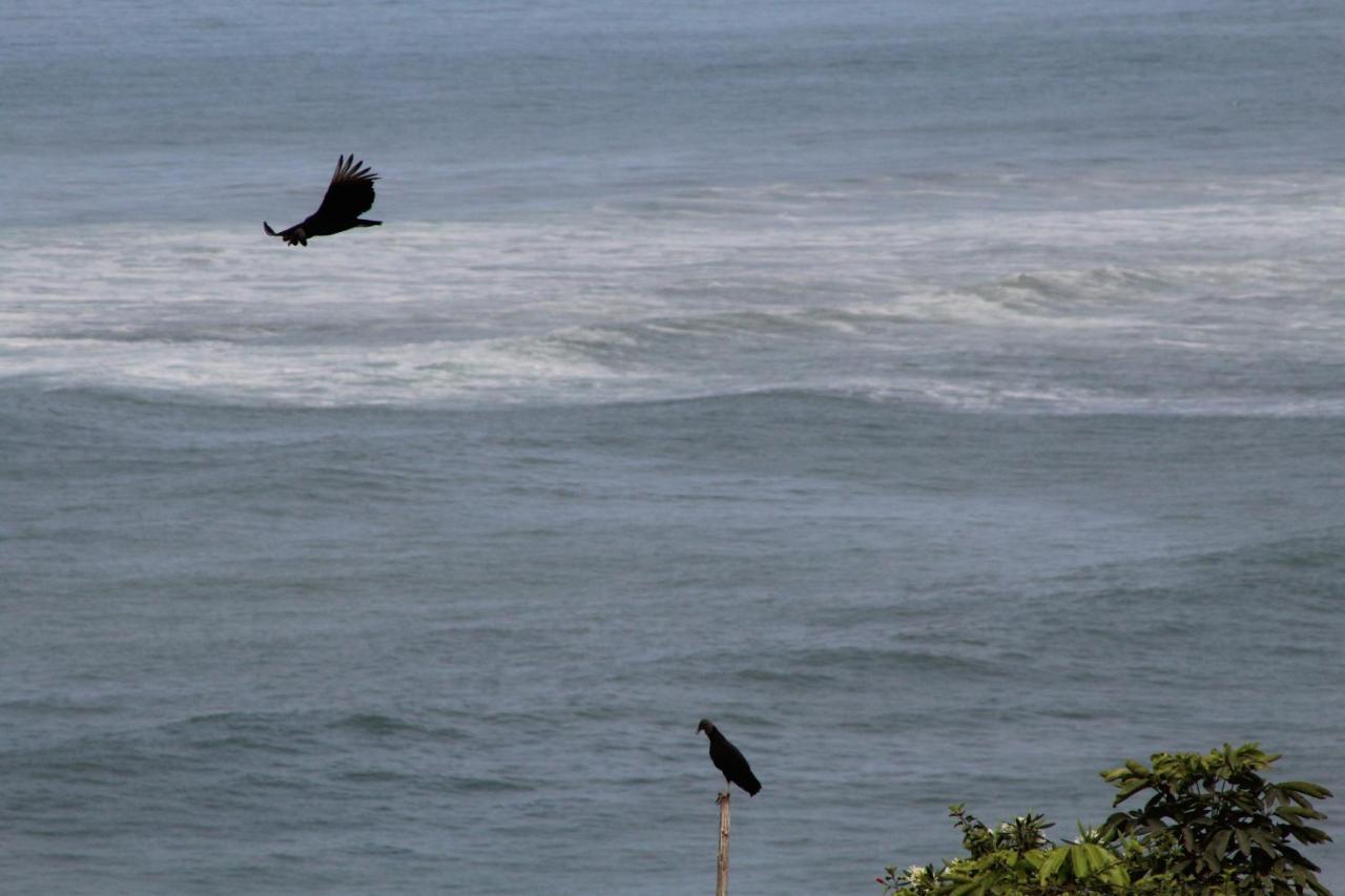 La Condesa De Barranco Daire Lima Dış mekan fotoğraf